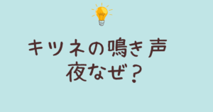 キツネはなぜ夜に鳴くのか？鳴き声の秘密を解説します